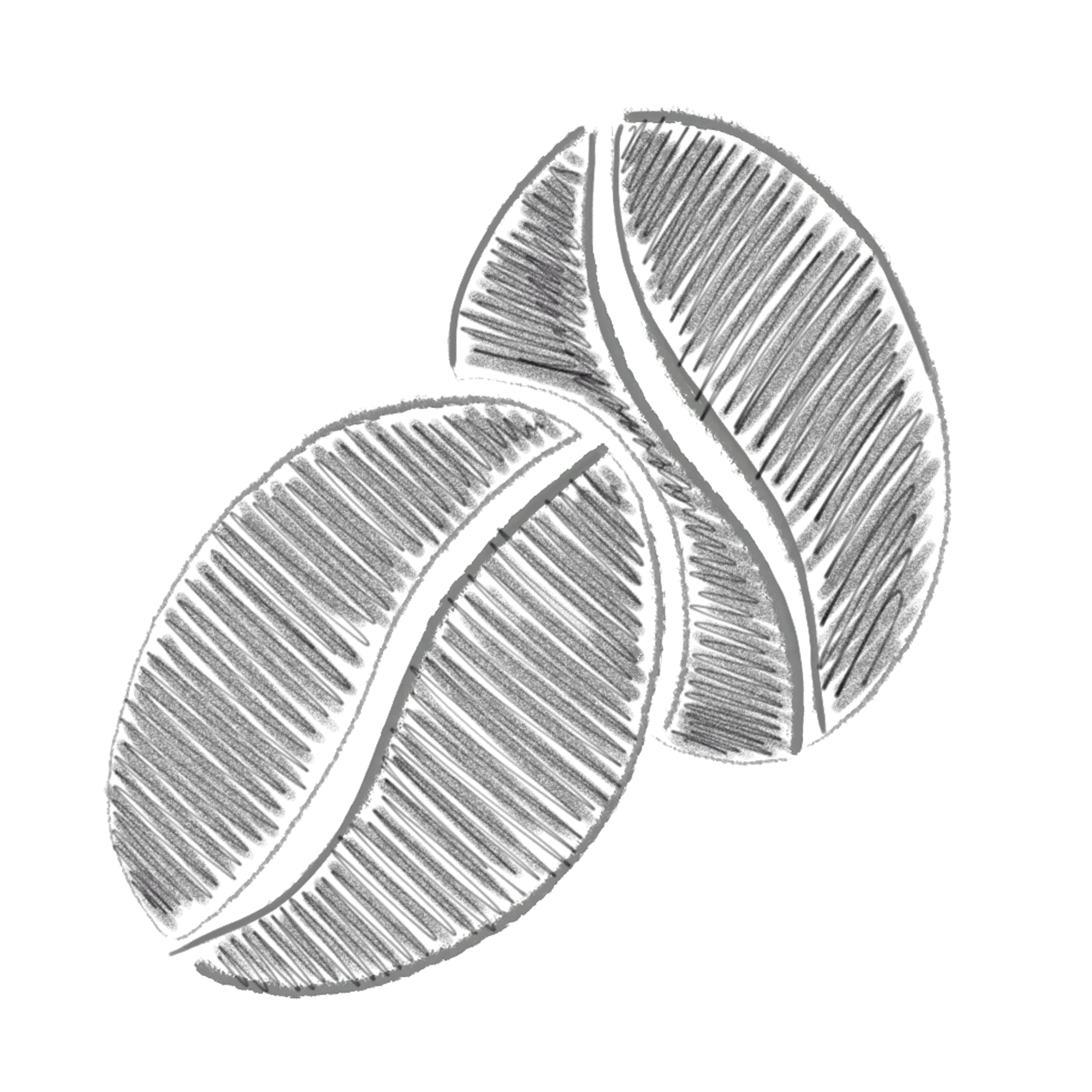 Bohnen_dunkel-min Bohnen_dunkel